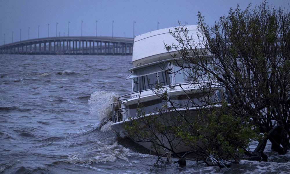A boat lies beached against a mangrove in the aftermath of Hurricane Ian in Punta Gorda, Florida