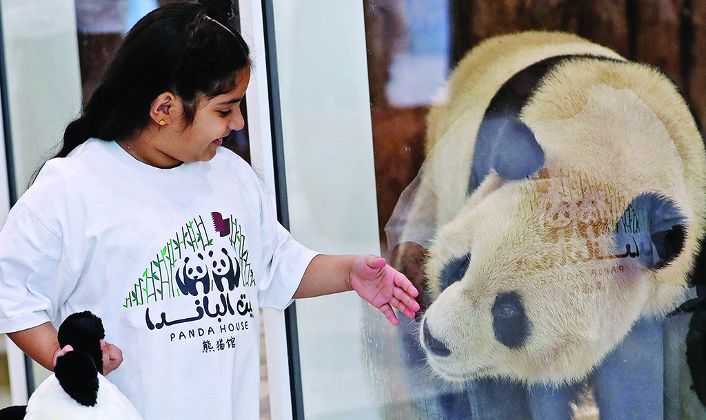 DOHA: A child plays with a Chinese giant panda from behind protective glass at the Panda Park in Al Khor on Oc 19, 2022. – AFP