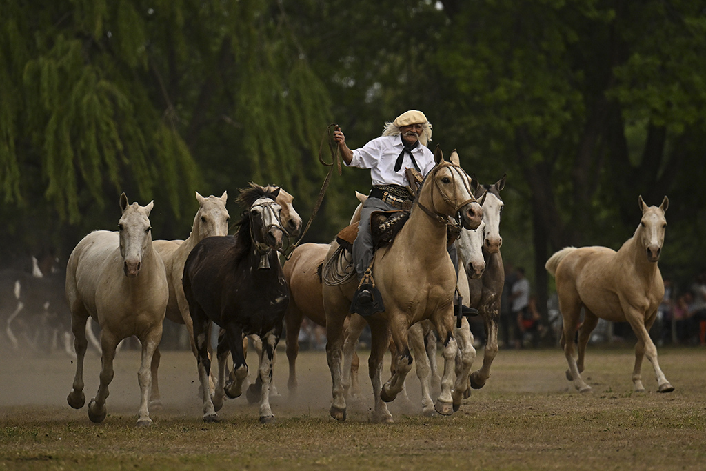 A gaucho rides a horse during the 83rd Tradition Festival in San Antonio de Areco, Argentina.