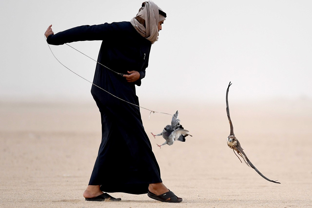 A falconer trains the bird to be agile in hunting.