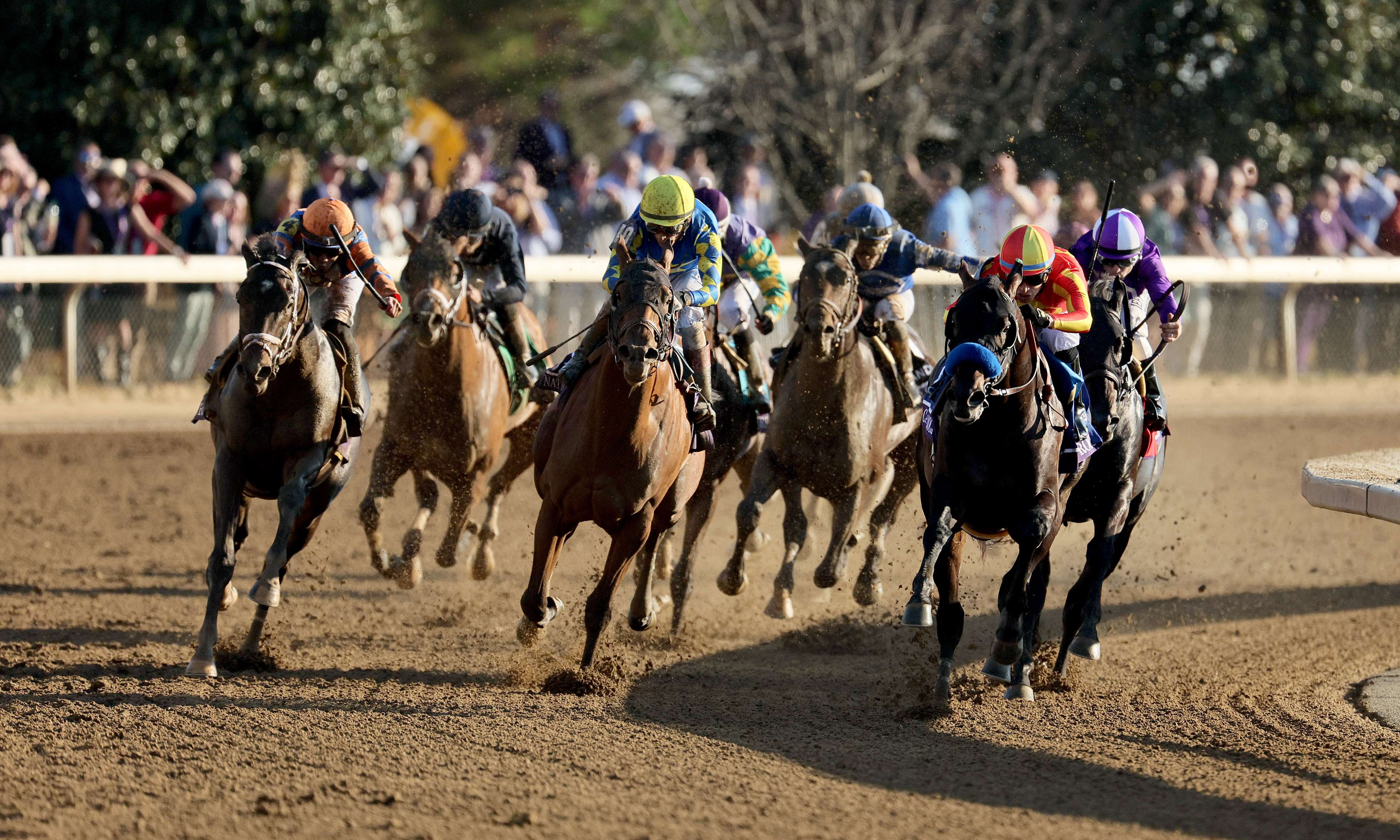 LEXINGTON: Irad Ortiz Jr a board Forte (far left #4) runs to victory in the Breeders’ Cup Juvenile during the 2022 Breeders Cup at Keeneland Race Course on November 04, 2022.— AFP