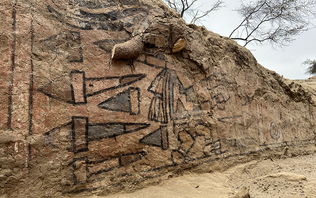 An undated picture shows roots protruding into the detail of a pre-Hispanic wall painting with mythological scenes uncovered near the Lambayeque town of Illimo in northern Peru, after decades it was considered lost by archaeologists.— AFP photos