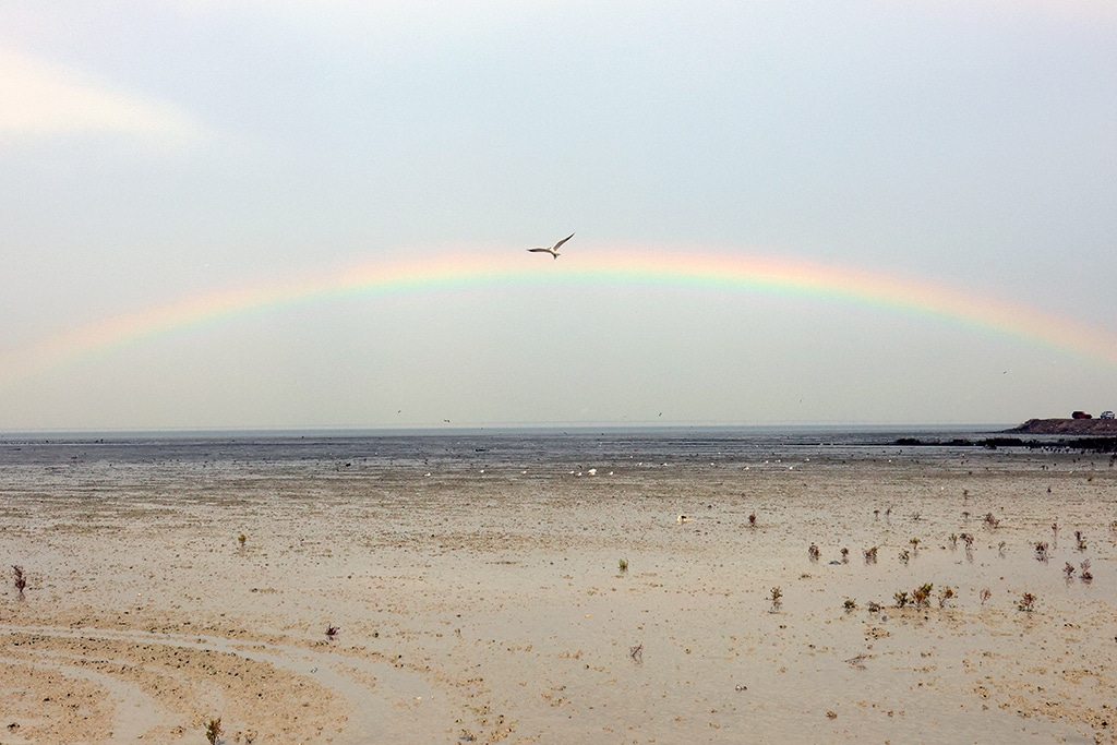 KUWAIT: A rainbow appears after heavy rainfall above the Sulaibaykhat beach in Kuwait on January 14, 2023. – Photo by Yasser Al-Zayyat
