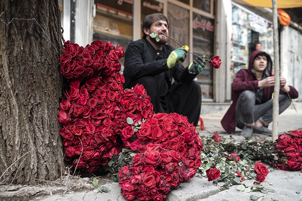 Afghan vendors selling roses wait for customers along the flower street on the occasion of Valentine's Day in the Shar-e-Naw area of Kabul.— AFP photos