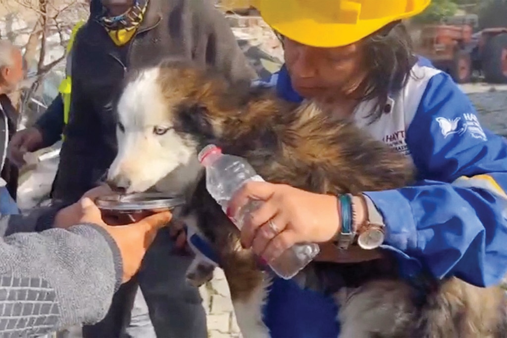 Rescuers give a dog water after it was rescued from a collapsed building on March 1, 2023, 23 days after last month's deadly earthquake. - AFP