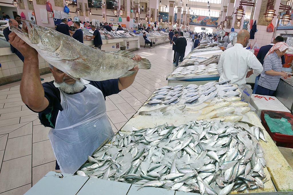 KUWAIT: A vendor displays fish at a fish market in Kuwait City in this file photo. Kuwait Fishermen Unionnstressed the importance of filling vacancies in the fishing sector, explaining the sector suffers from a severenshortage of labor. — Photo by Yasser Al-Zayyat