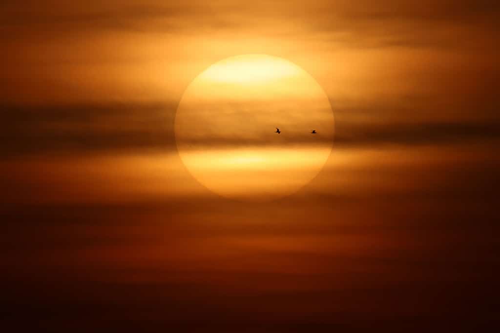 Pigeons fly as the sun rises over Kuwait City on April 15, 2023. — Photo by Yasser Al-Zayyat
