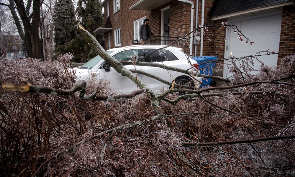 Tree branches fell through a windshield after freezing rain hit parts of Quebec and Ontario in Montreal, Canada, on April 5, 2023.
