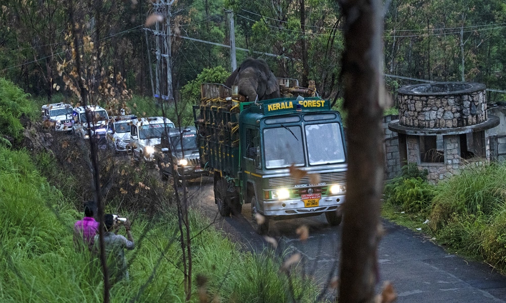 This picture taken on April 29, 2023, shows forest officials transporting 'Arikomban' the wild elephant, at Idukki district in India's Kerala state.