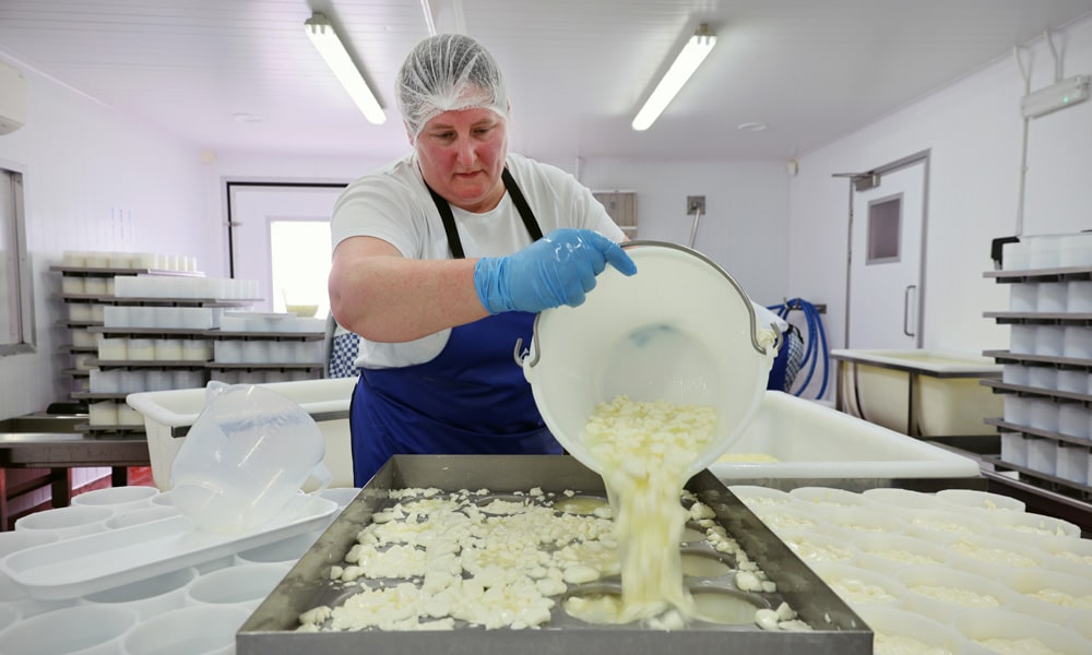 Production Manager and cheesemaker Charlotte Spruce (C) pours curds into moulds to make Tunworth cheese in the production room at the Hampshire Cheese Company near Basingstoke in Hampshire south east England, on March 14, 2023.