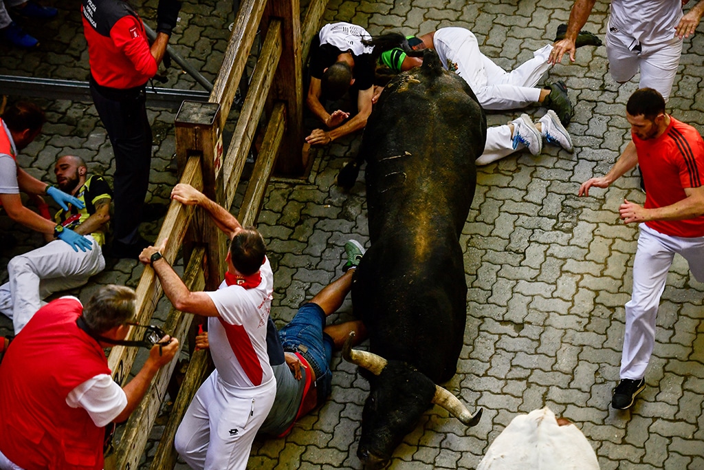 Participants get run over by a bull during the 'encierro' (bull-run) of the San Fermin festival in Pamplona.