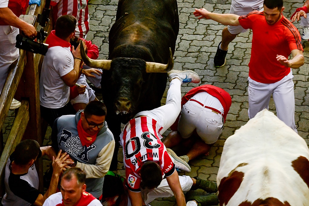 Participants fall as they run ahead of bulls during the 'encierro' (bull-run) of the San Fermin festival in Pamplona.