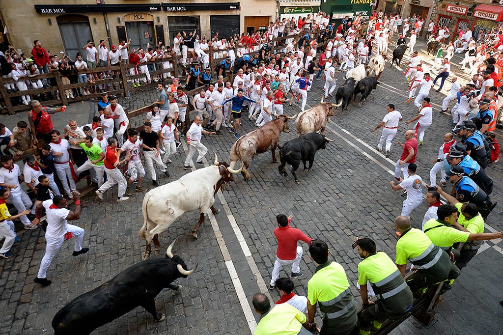 Participants run ahead of bulls during the 'encierro' (bull-run) of the San Fermin festival in Pamplona.