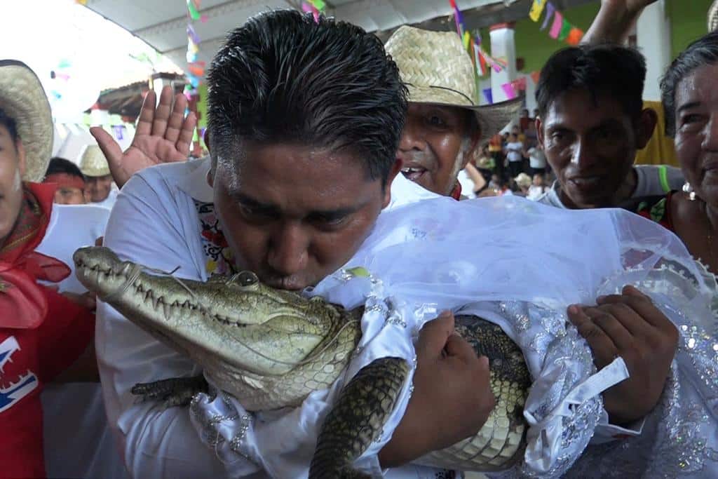 Mexican mayor weds a reptile - and couldn't be happier!