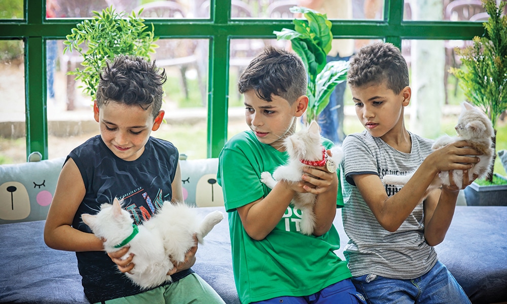 Boys hold felines at the newly inaugurated Cat Cafe in Gaza City.