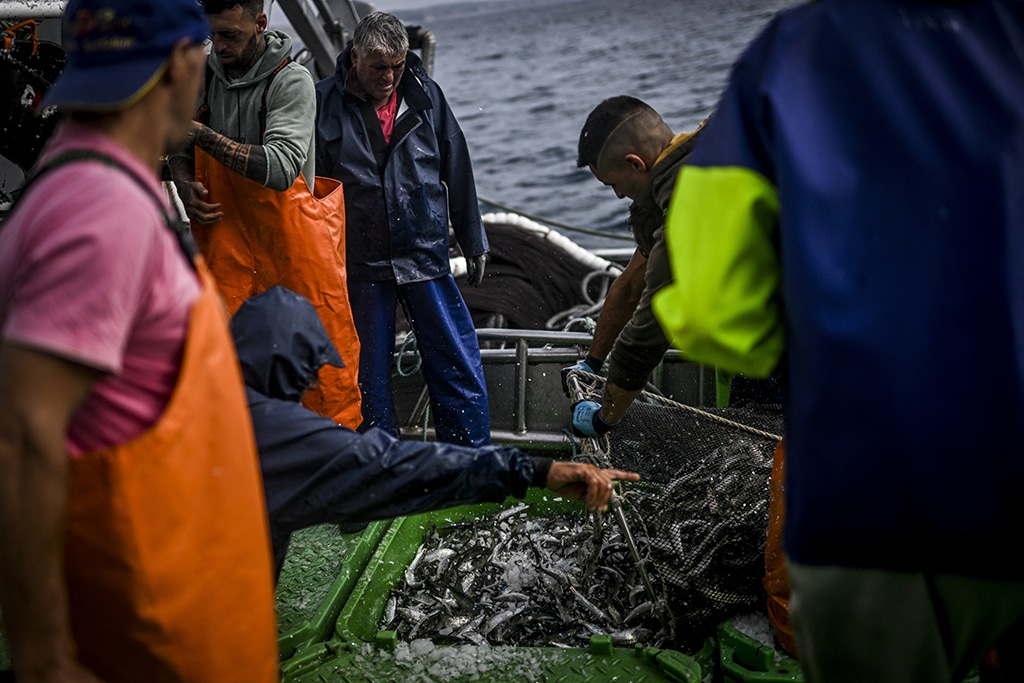 Fishermen fill up the fish tanks with sardines on board of “Deus Nao Falta” (God is not missing) fishing boat in Peniche.