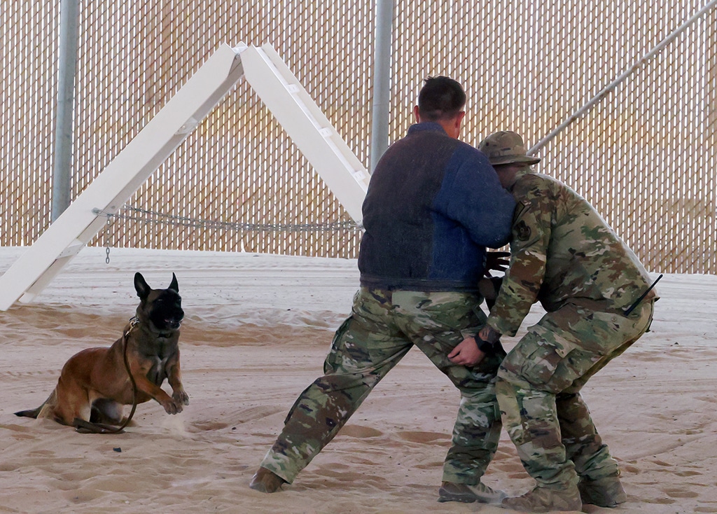 US milittary dogs trainer showing off his German sheppard (K-9) dog during a media tour at Ali al-Salem air base 60 km north of Kuwait City on October 2, 2013.