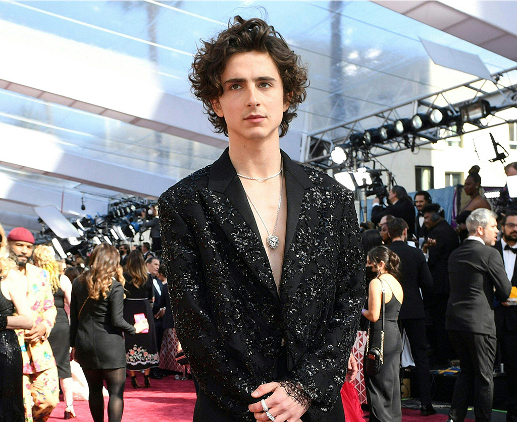 US-French actor Timothee Chalamet - AFP photos